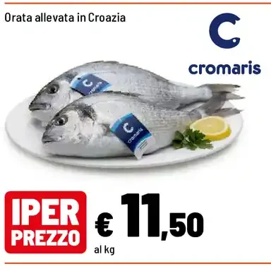 Orata allevata in Croazia