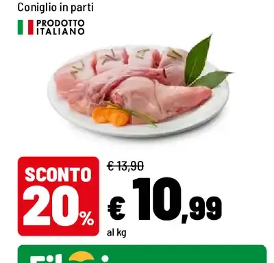 Coniglio in parti