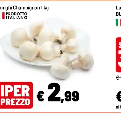 Funghi Champignon