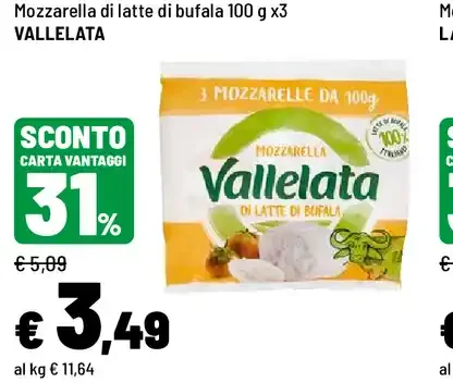 Mozzarella di latte di bufala