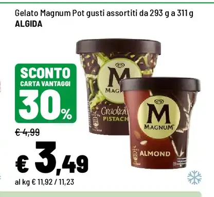 Gelato Magnum Pot