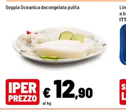 Seppia oceanica decongelata pulita