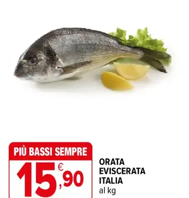 Orata eviscerata Italia