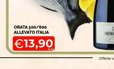 Orata 300/600 allevato Italia