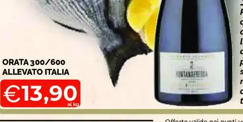 Orata 300/600 allevato Italia