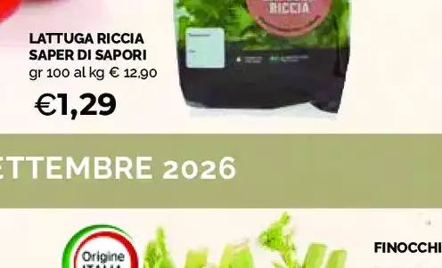 Lattuga riccia Saper di Sapori