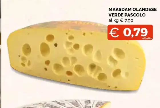 Maasdam olandese verde pascolo