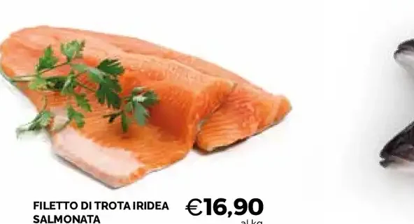 Filetto di trota iridea salmonata