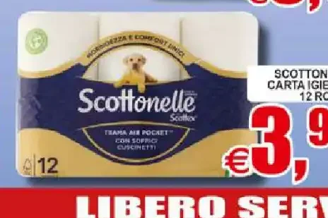 Carta igienica