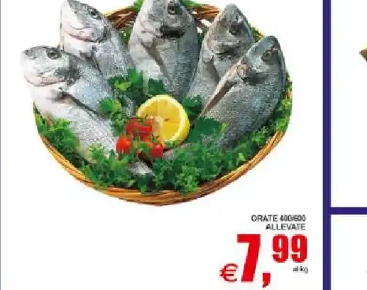 Orate 300/600 allevate