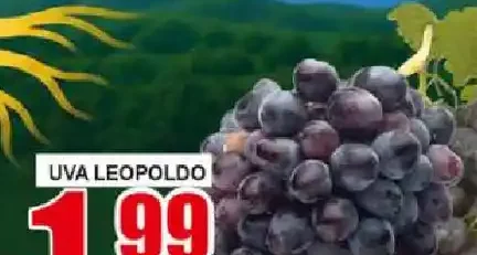 Uva Leopoldo