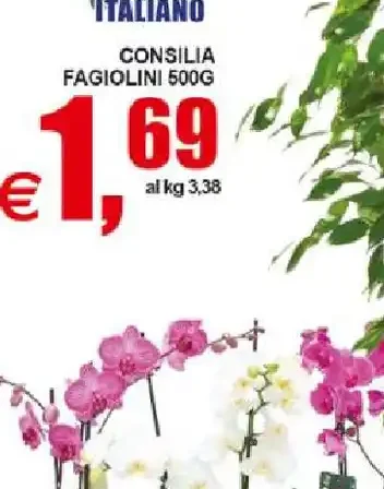 Fagiolini