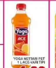 Yoga nettari