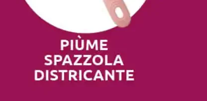 Piùme Spazzola Districante
