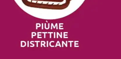 Piùme Pettine Districante