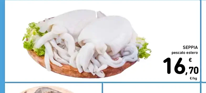 Seppia