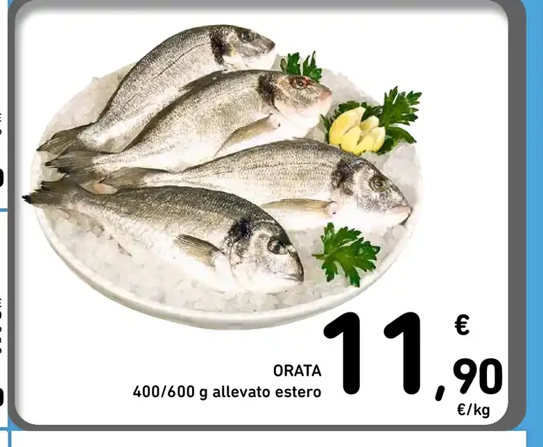 Orata