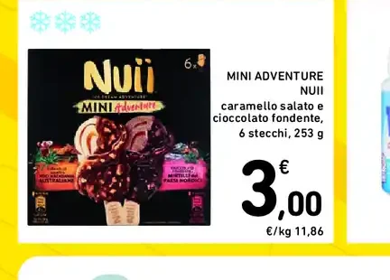 Mini Adventure Nuii