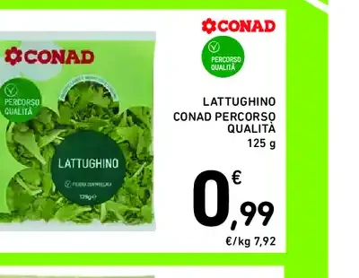 Lattughino