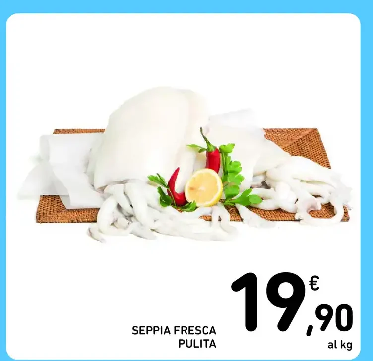 Seppia fresca pulita