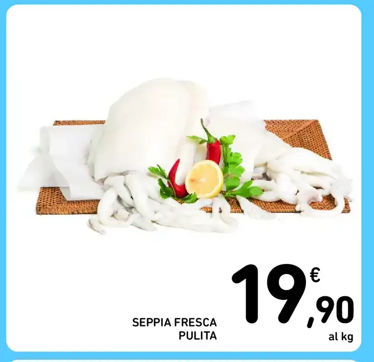 Seppia fresca pulita