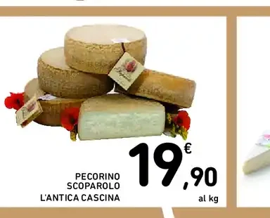 Pecorino Scoparolo L'Antica Cascina