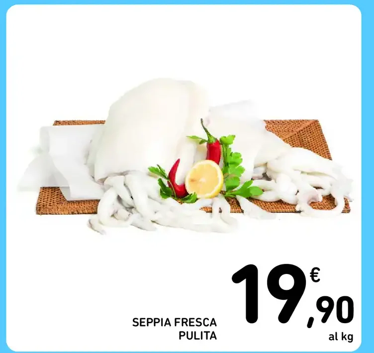 Seppia fresca pulita