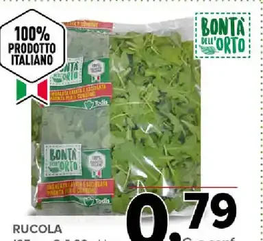 Rucola