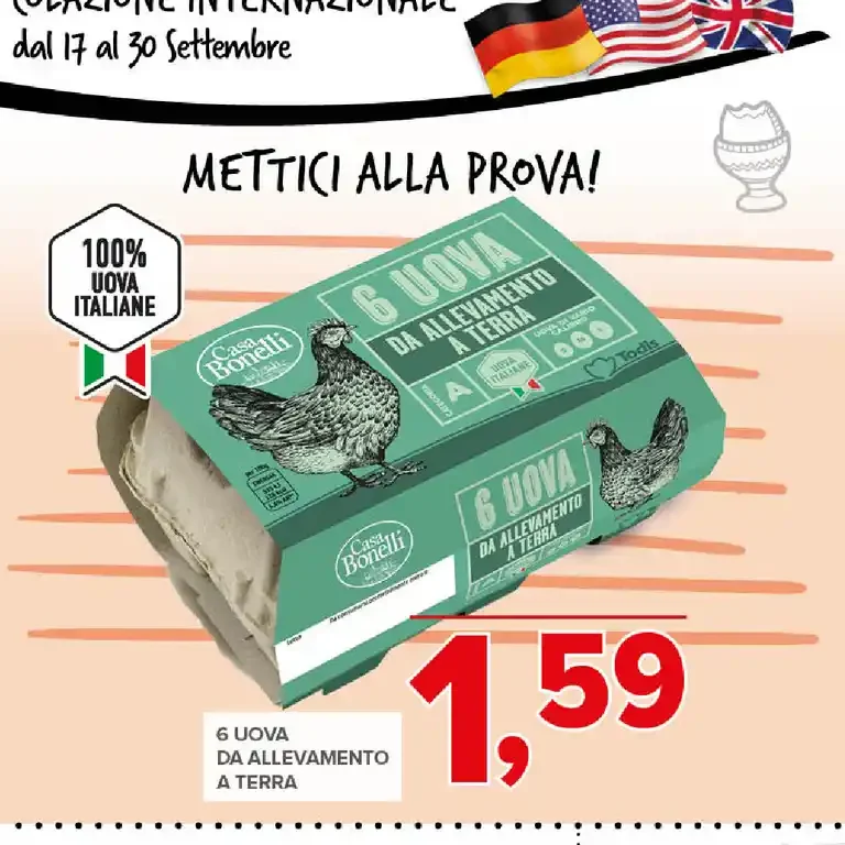 Uova da allevamento a terra
