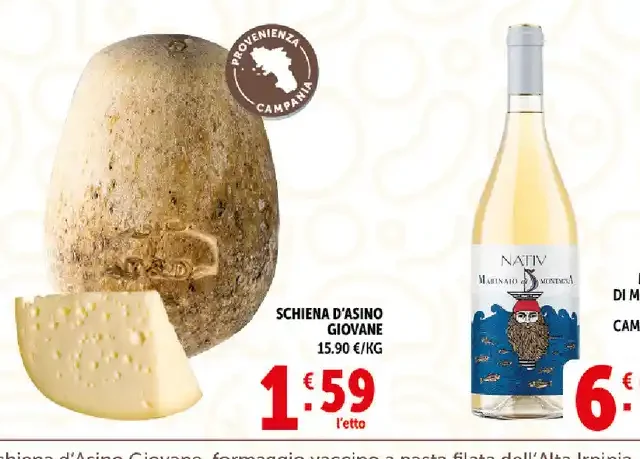 Schiena d'asino giovane