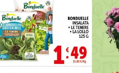 Bonduelle insalata mista