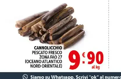 Cannolicchio