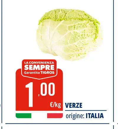 Verze