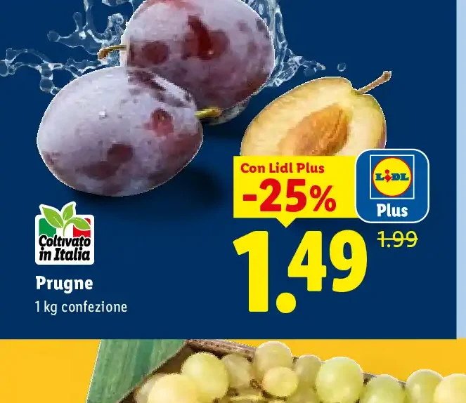 Prugne