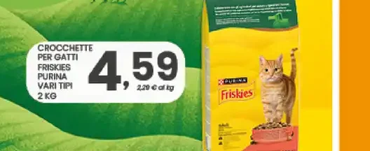 Crocchette per gatti Friskies Purina