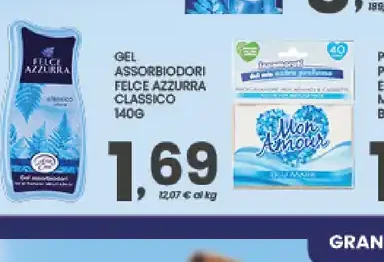 Gel assorbiodori Felce Azzurra