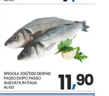 Spigola