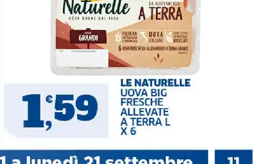 Uova fresche allevate a terra