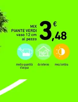 Piante mix