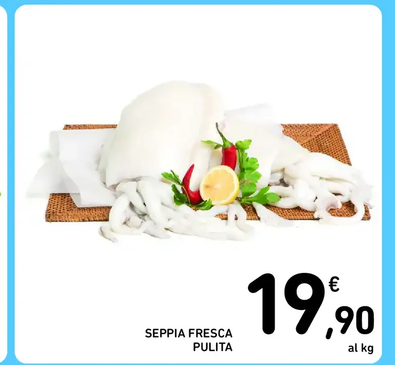 Seppia fresca pulita