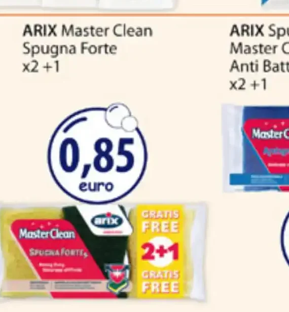 Arix Master Clean spugna forte