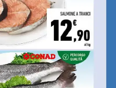 Salmone a tranci