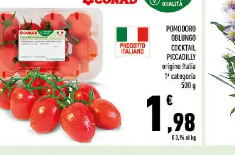 Pomodoro oblungo cocktail piccadilly
