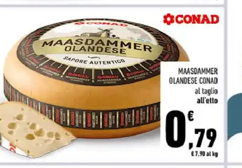 Maasdammer olandese