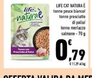 Cibo umido per gatti