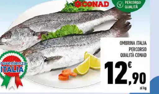Ombrina Italia