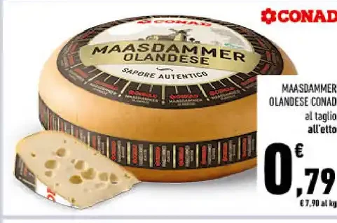 Maasdammer olandese