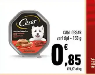 Cani Cesar
