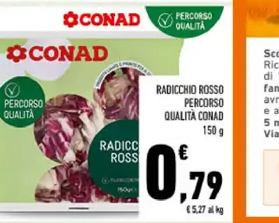 Radicchio rosso