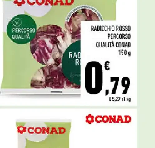 Radicchio rosso